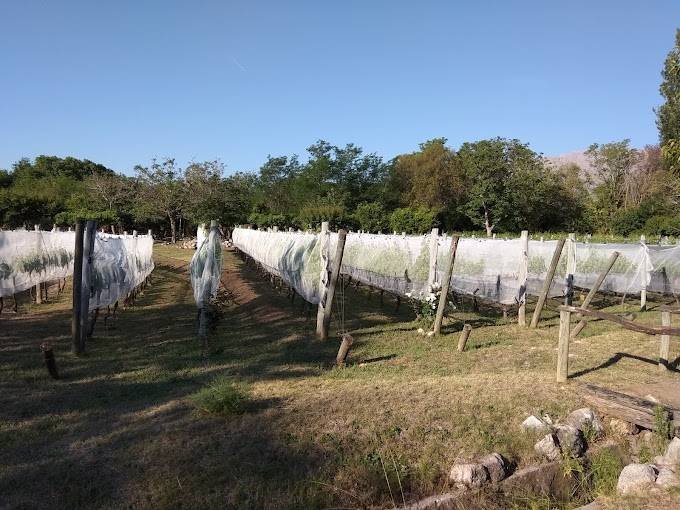 Finca Atos