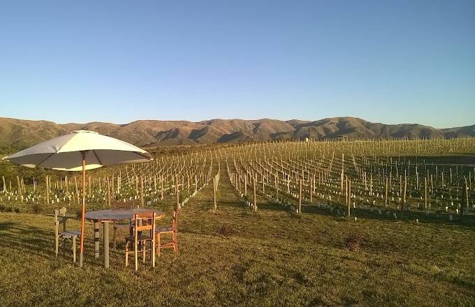 Bodega Alma Minera