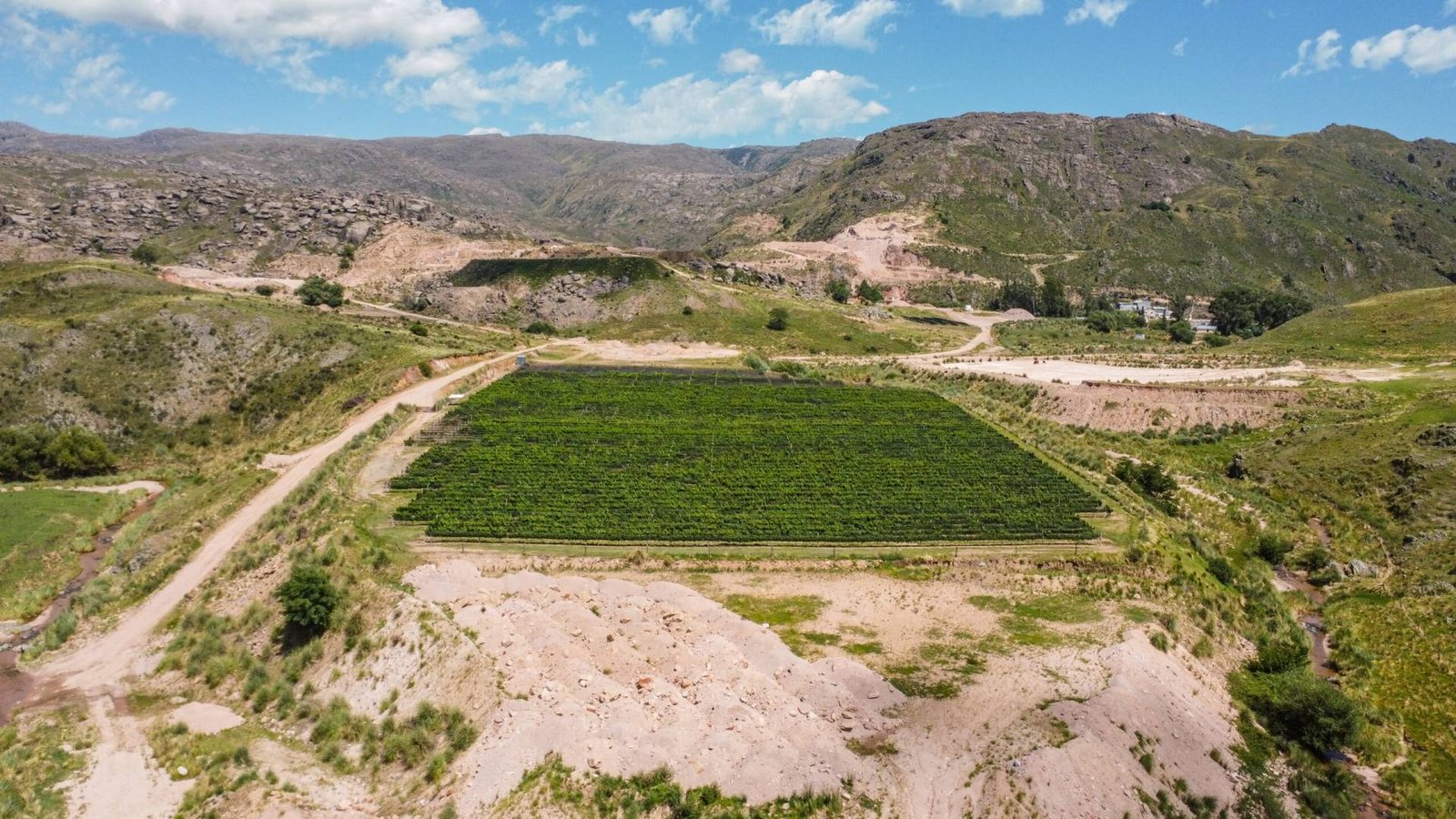Bodega Alma Minera