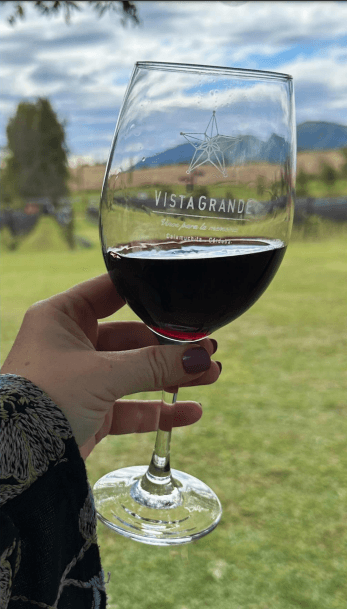Experiencia Blending – Finca Vista Grande