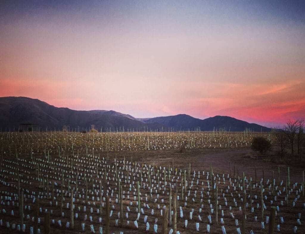 Sunset Wine Tour Punilla