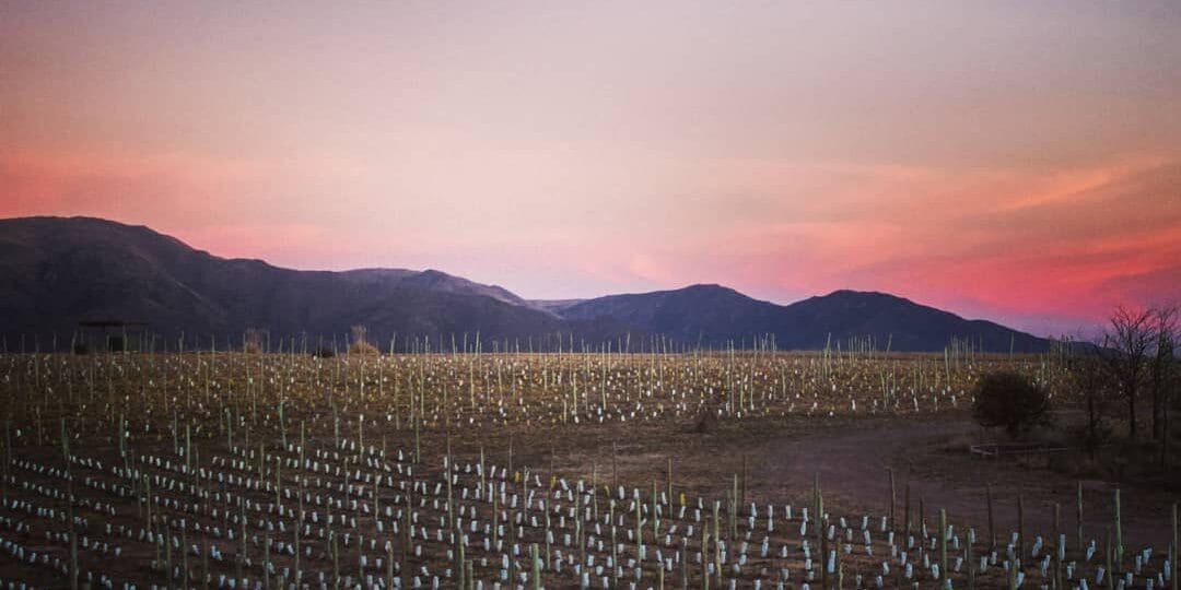 Sunset Wine Tour Punilla