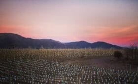 Sunset Wine Tour Punilla