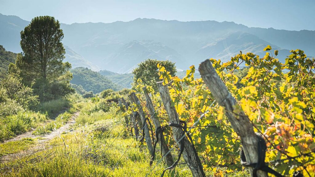 Cómo visitar las bodegas de Traslasierra Bodega San Javier Traslasierra Wine Tours - Cómo visitar las bodegas de Traslasierra