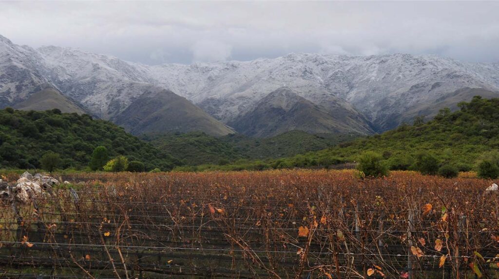 Bodega San Javier Champaquí Traslasierra