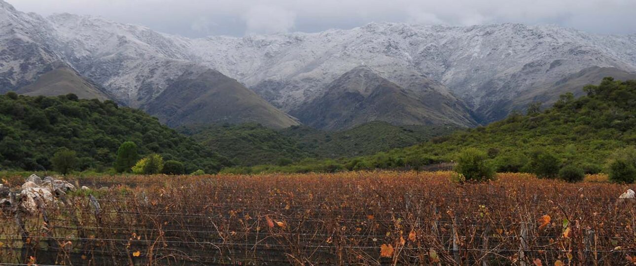 Bodega San Javier Champaquí Traslasierra