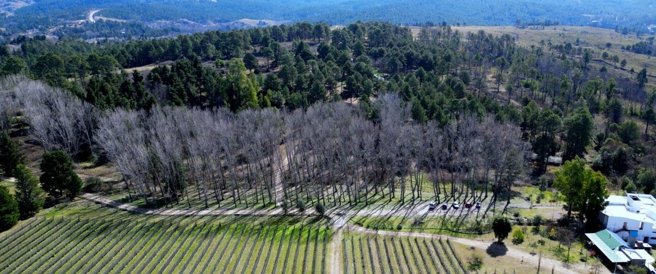 Finca Atos viñedos Bodegas de Calamuchita
