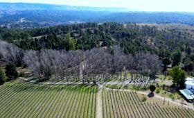 Finca Atos viñedos Bodegas de Calamuchita