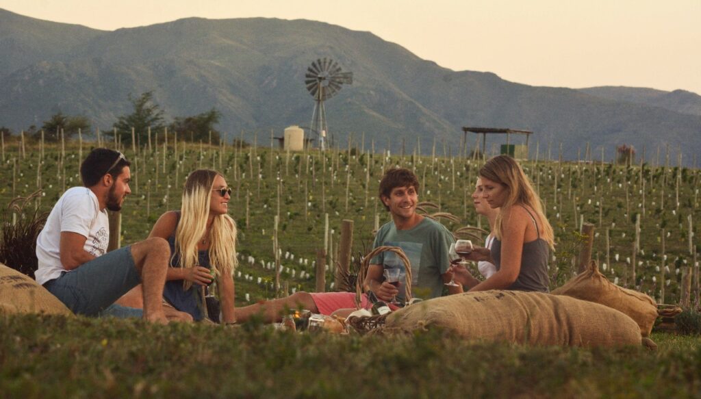 Viñedo Nébula picnic en viñedo