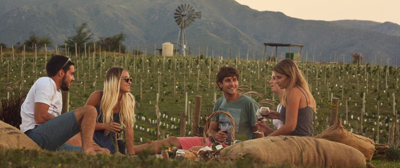 Viñedo Nébula picnic en viñedo