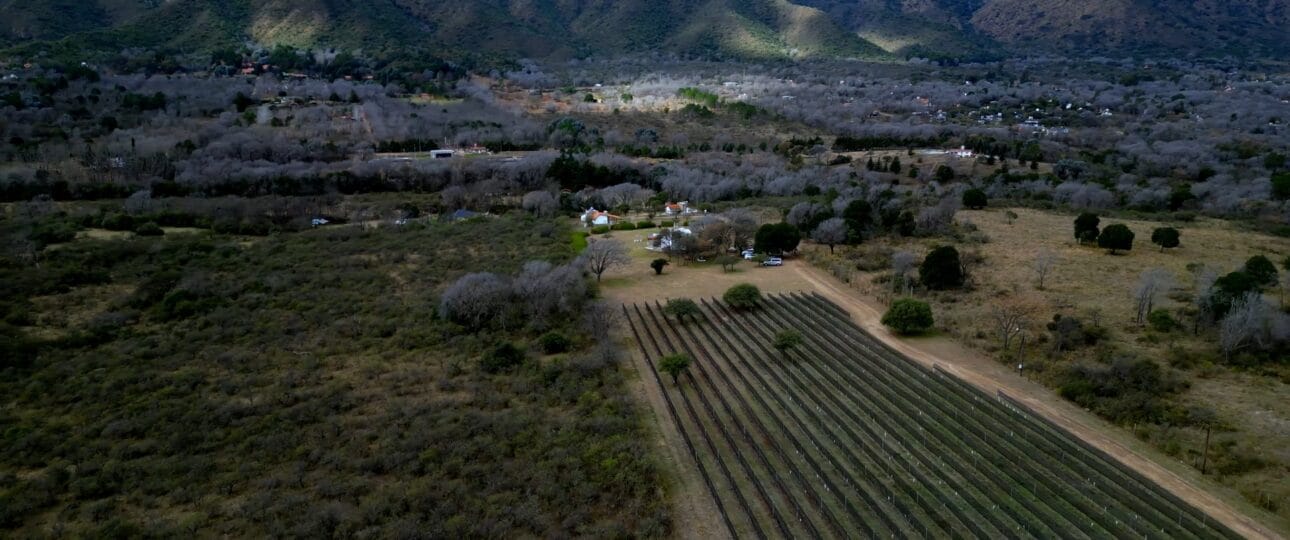 Finca Pu Duam Calamuchita viñedo visitas