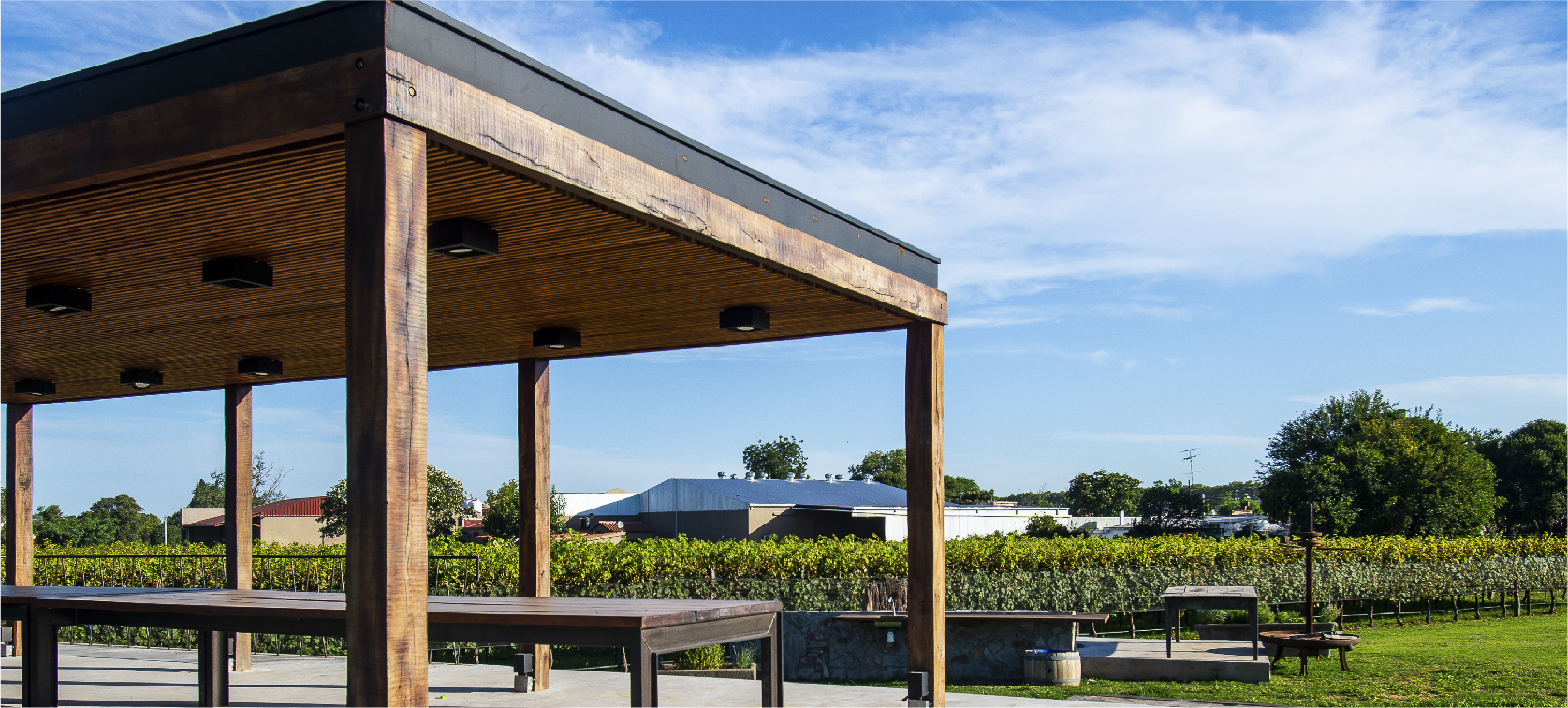 Experiencia Caminata en Bodega Terra Camiare