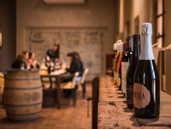 Bodega Terra Camiare Enoturismo en Córdoba