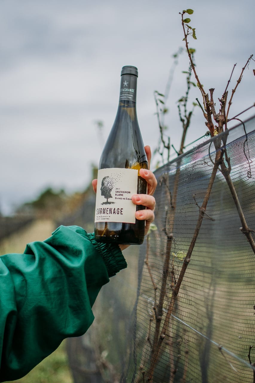 Compra de vino en Finca Vista Grande