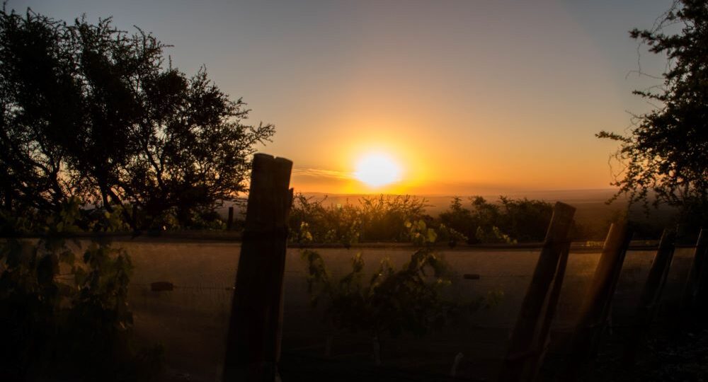 Bodega Piedra Mora Traslasierra sunset