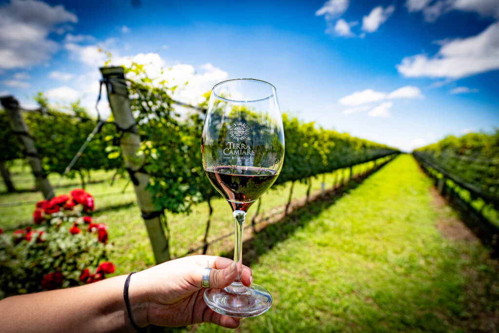 Proximamente: Experiencia Campestre – Bodega Terra Camiare
