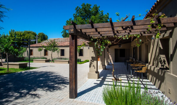 Restaurante Los Socavones Bodega Terra Camiare