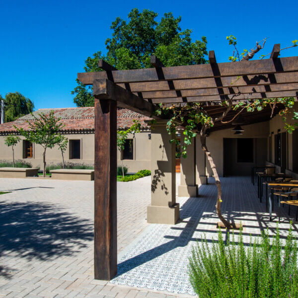 Restaurante Los Socavones Bodega Terra Camiare