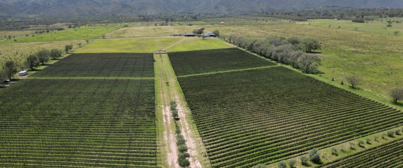 Bodega Familia Furfaro Calamuchita