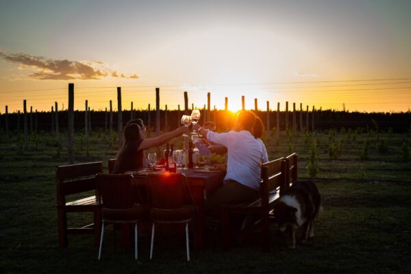 Bodega Del Gredal Norte Sunsets en Viñedos bodega Caminos del Vino de Córdoba