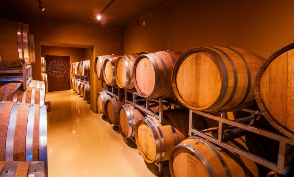 Bodega Terra Camiare barricas Sierras Chicas
