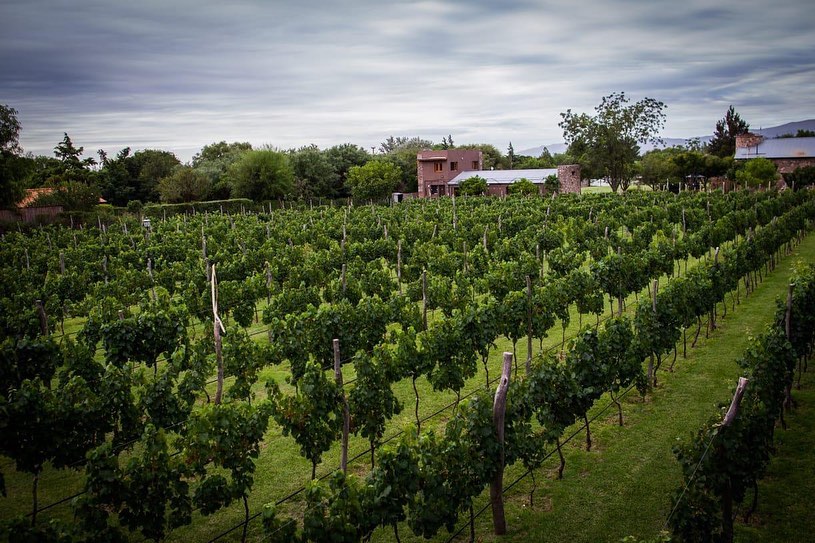 Finca la Marta bodega Caminos del Vino de Córdoba viñedo punilla