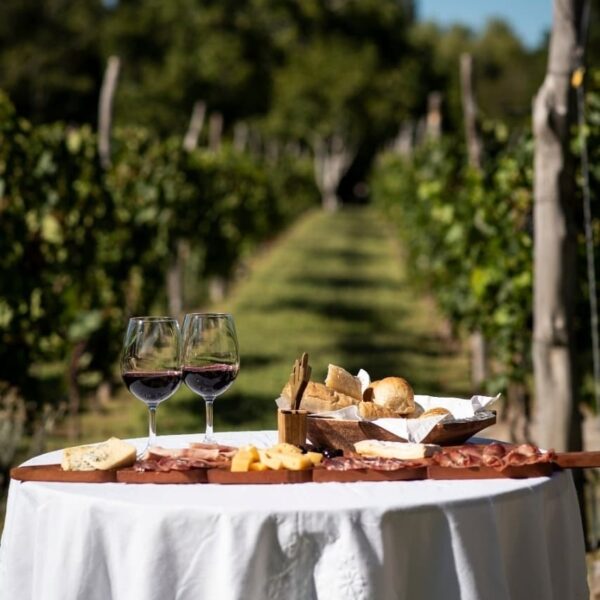 Finca la Marta Punilla Caminos del Vino Córdoba