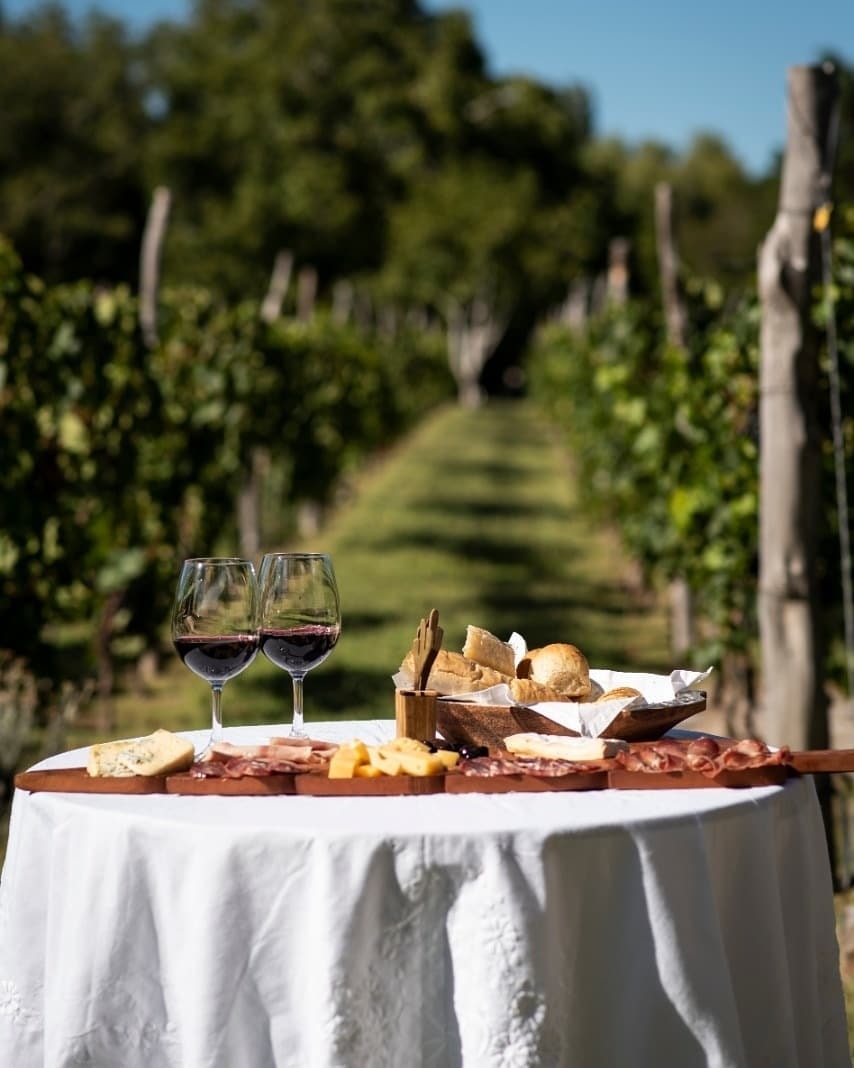 Alojamiento en Finca La Marta