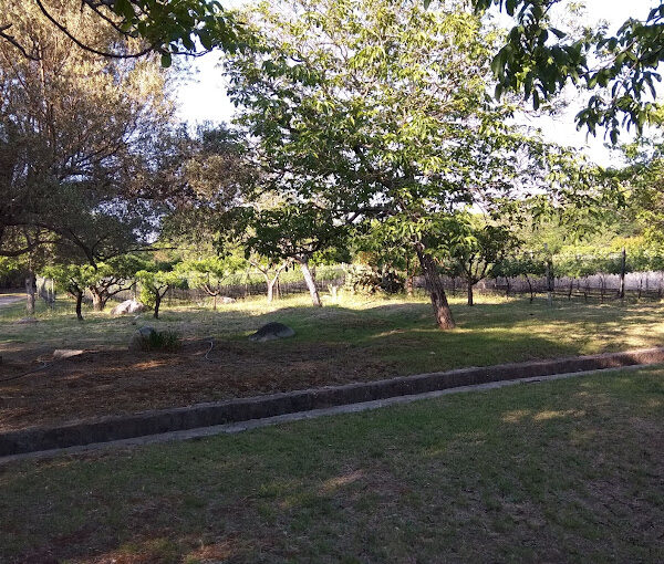 Bodega Santos Quiroga Traslasierra bodega Caminos del Vino de Córdoba