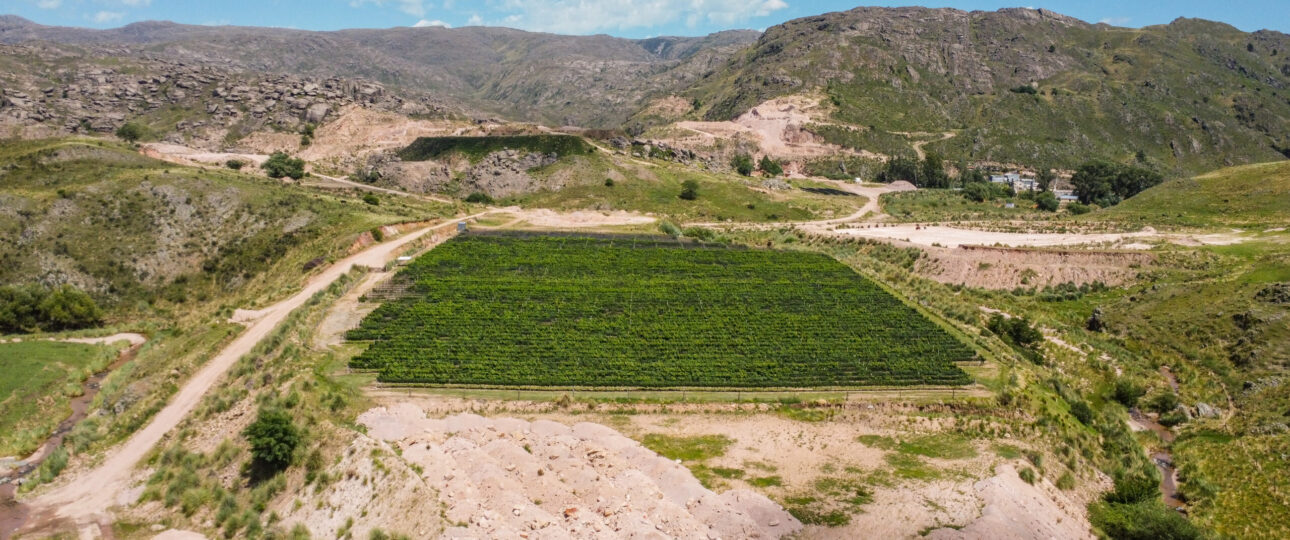 Bodega Alma Minera Calamuchita bodega Caminos del Vino de Córdoba