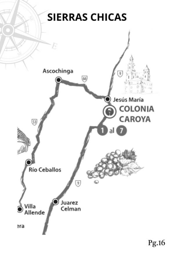 Pasaporte Caminos del Vino en La Caroyense - Image 9