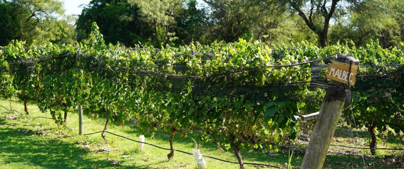 Finca Las Breas Traslasierra bodega Caminos del Vino de Córdoba