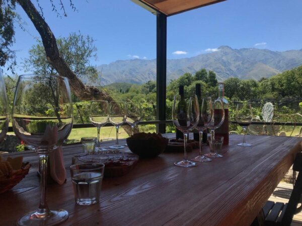 Bodega Araoz de Lamadrid visitas degustaciones