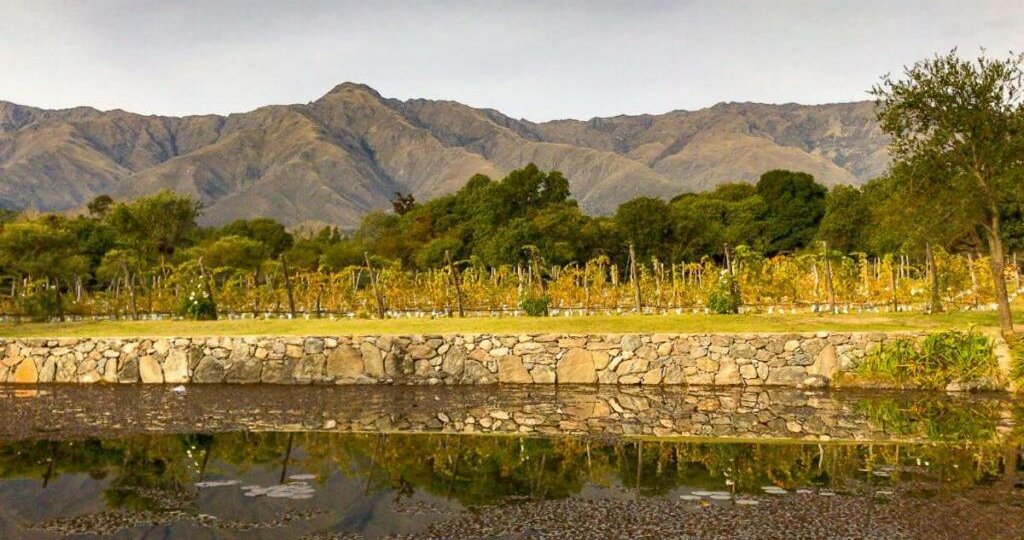 Bodega Araoz de Lamadrid viñedo Champaquí