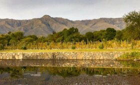 Bodega Araoz de Lamadrid viñedo Champaquí