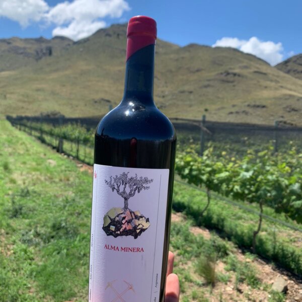 Alma Minera Malbec en Bodega Alma Minera