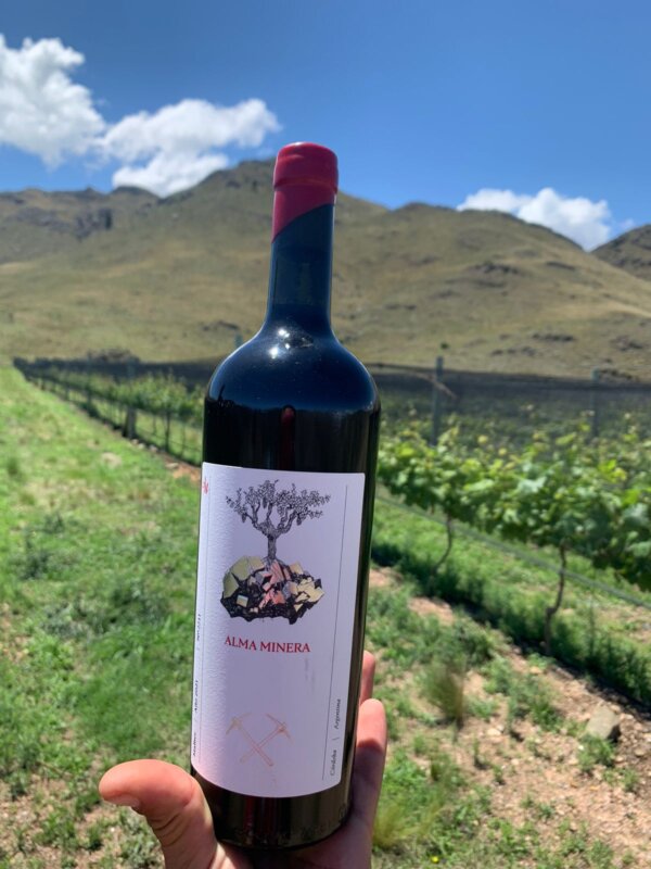 Alma Minera Malbec en Bodega Alma Minera