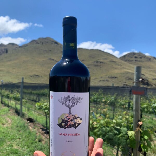 Alma Minera Malbec Roble en Bodega Alma Minera