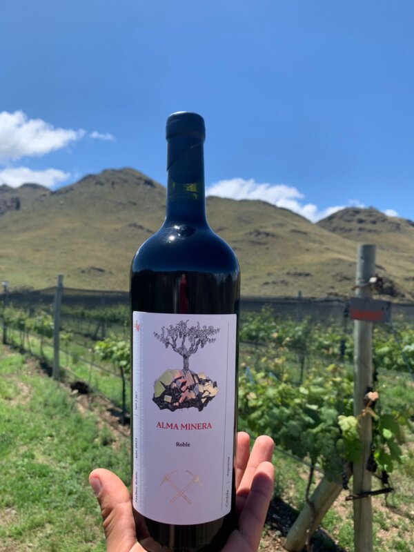 Alma Minera Malbec Roble en Bodega Alma Minera