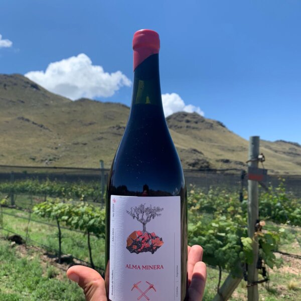 Alma Minera Rosado de Malbec Bddega Alma Minera