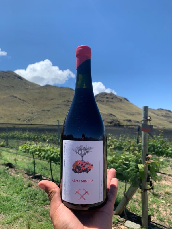Alma Minera Rosado de Malbec Bddega Alma Minera