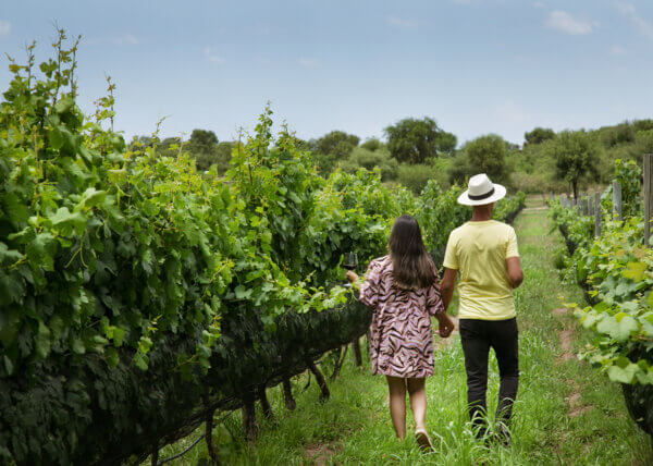 Posada y Bodega La Matilde