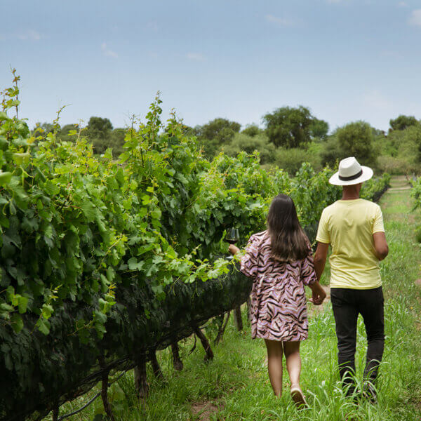 Posada y Bodega La Matilde