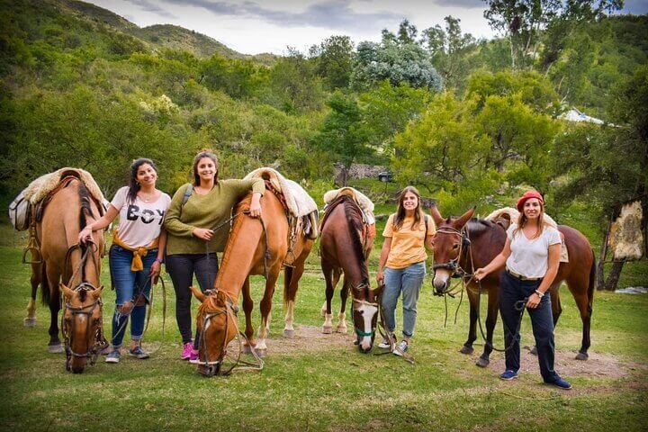 Wine and Horses en viñedos