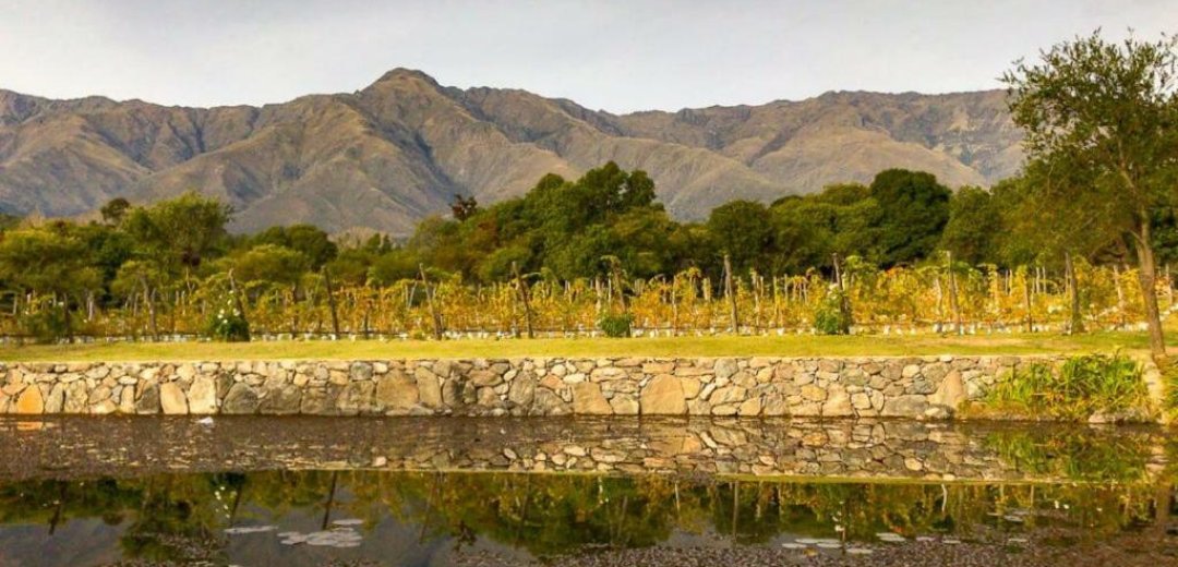 Bodega Araoz de Lamadrid viñedo Champaquí