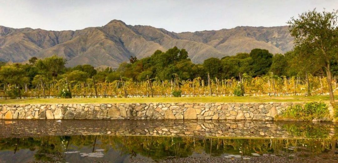 Bodega Araoz de Lamadrid viñedo Champaquí