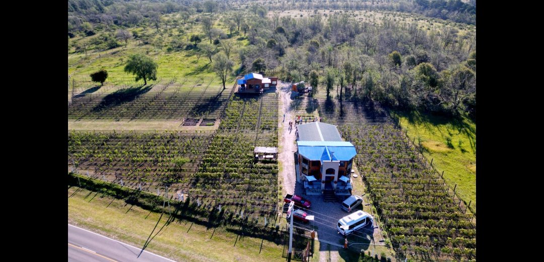 Champañera San Lorenzo viñedo Calamuchita wine tours