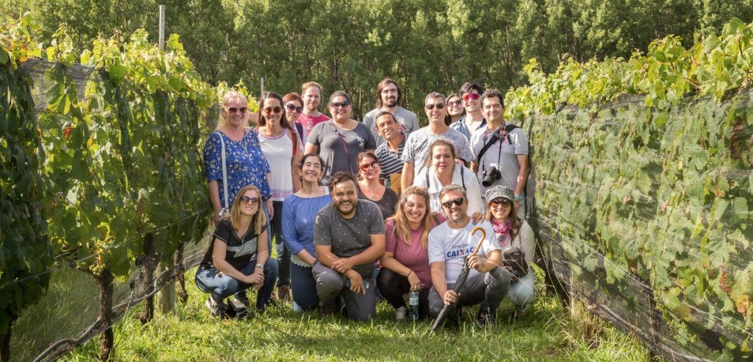 Qué hacer en Córdoba Grupo haciendo enoturismo