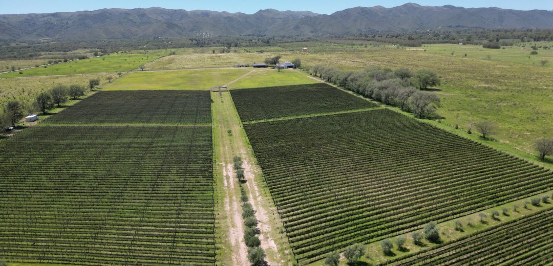 Bodega Familia Furfaro Calamuchita
