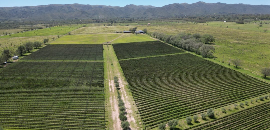 Bodega Familia Furfaro Calamuchita